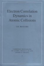 Electron Correlation Dynamics in Atomic Collisions