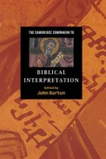 Cambridge Companion to Biblical Interpretation