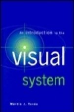 Introduction to the Visual System