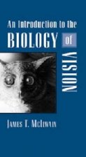 Introduction to the Biology of Vision