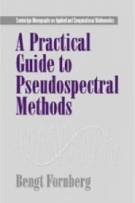 Practical Guide to Pseudospectral Methods