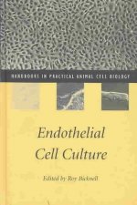 Endothelial Cell Culture