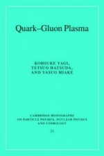 Quark-Gluon Plasma