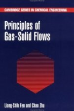 Principles of Gas-Solid Flows