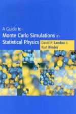 Guide to Monte Carlo Simulations in Statistical Physics