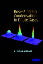 Bose-Einstein Condensation in Dilute Gases