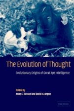 Evolution of Thought