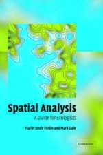 Spatial Analysis