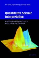 Quantitative Seismic Interpretation