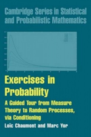 Exercises in Probability