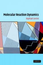 Molecular Reaction Dynamics