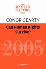 Can Human Rights Survive?