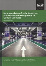 Recommendations for the Inspection, Maintenance and Management of Car Park Structures, Second edition