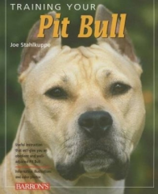 Training Your Pit Bull