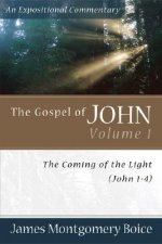 Gospel of John - The Coming of the Light (John 1-4)