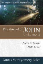 Gospel of John - Peace in Storm (John 13-17)