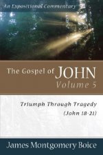 Gospel of John - Triumph Through Tragedy (John 18-21)