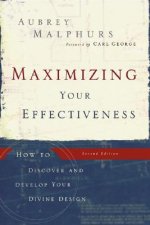 Maximizing Your Effectiveness - How to Discover and Develop Your Divine Design
