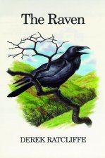 Raven