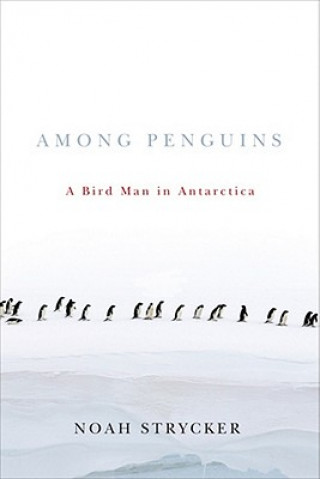 Among Penguins