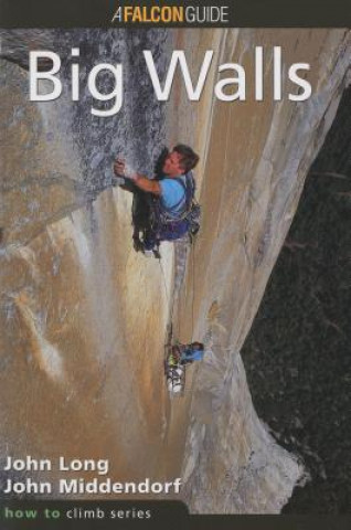 How to Climb (TM): Big Walls