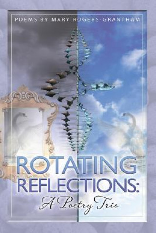 Rotating Reflections