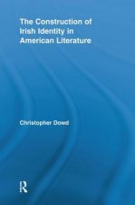 Construction of Irish Identity in American Literature