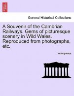 Souvenir of the Cambrian Railways. Gems of Picturesque Scenery in Wild Wales. Reproduced from Photographs, Etc.