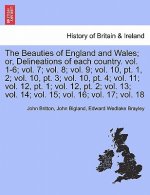 Beauties of England and Wales; or, Delineations of each country. Vol. XI.
