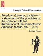 American Geology; Containing a Statement of the Principles of the Science, with Full Illustrations of the Characteristic American Fossils. Pts. 1, 2,