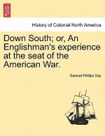 Down South; Or, an Englishman's Experience at the Seat of the American War. Vol. II.
