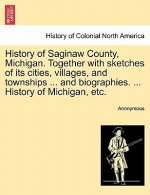 History of Saginaw County, Michigan. Together with sketches of its cities, villages, and townships ... and biographies. ... History of Michigan, etc.