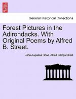 Forest Pictures in the Adirondacks. with Original Poems by Alfred B. Street.