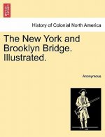 New York and Brooklyn Bridge. Illustrated.