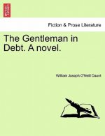 Gentleman in Debt. a Novel.
