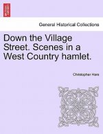 Down the Village Street. Scenes in a West Country Hamlet.