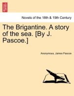 Brigantine. a Story of the Sea. [By J. Pascoe.] Vol. II