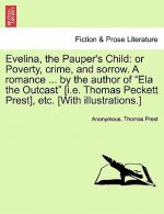 Evelina, the Pauper's Child