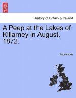 Peep at the Lakes of Killarney in August, 1872.