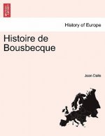 Histoire de Bousbecque