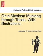 On a Mexican Mustang through Texas. With illustrations.
