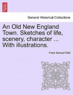 Old New England Town. Sketches of Life, Scenery, Character ... with Illustrations.