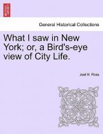 What I Saw in New York; Or, a Bird's-Eye View of City Life.