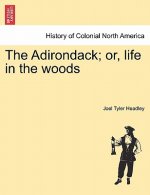 Adirondack; or, life in the woods. New Edition