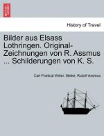 Bilder Aus Elsass Lothringen. Original-Zeichnungen Von R. Assmus ... Schilderungen Von K. S.