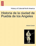 Historia de la ciudad de Puebla de los Angeles. TOMO PRIMERO