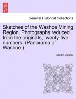Sketches of the Washoe Mining Region. Photographs Reduced from the Originals, Twenty-Five Numbers. (Panorama of Washoe.).