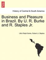 Business and Pleasure in Brazil. by U. R. Burke and R. Staples JR.