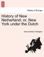 History of New Netherland; or, New York under the Dutch