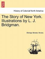 Story of New York. Illustrations by L. J. Bridgman.